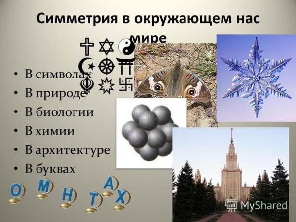 Симметрия в окружающем нас мире