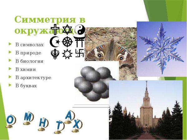 Симметрия в окружающем нас мире