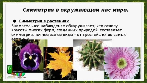 Симметрия в окружающем нас мире