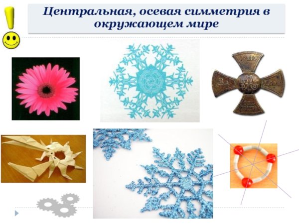 Симметрия в окружающем мире