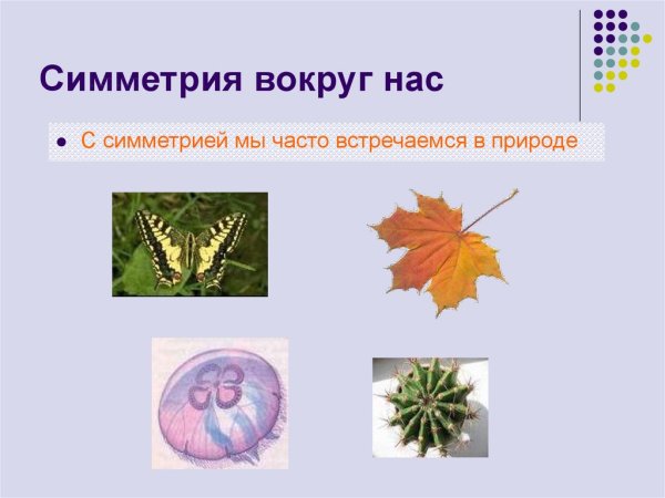 Симметрия вокруг нас