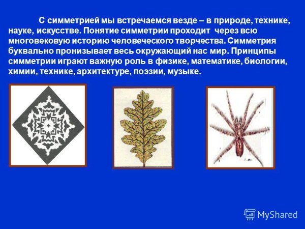 Симметрия в искусстве