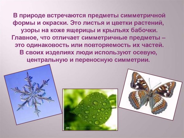 Презентация на тему симметрия