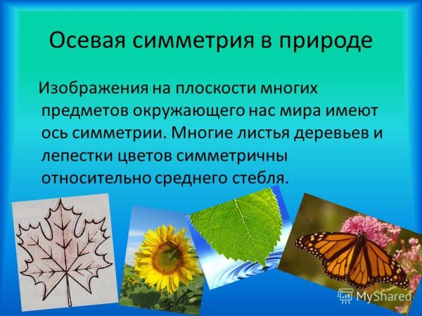Предметы симметрии в природе