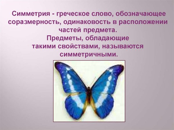 Примеры симметрии в окружающем мире