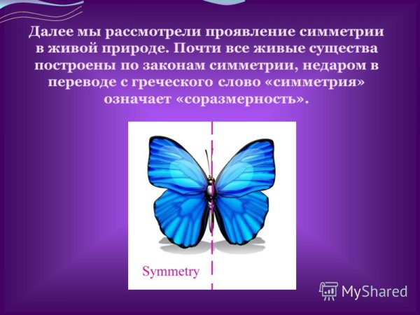 Симметрия в живой природе