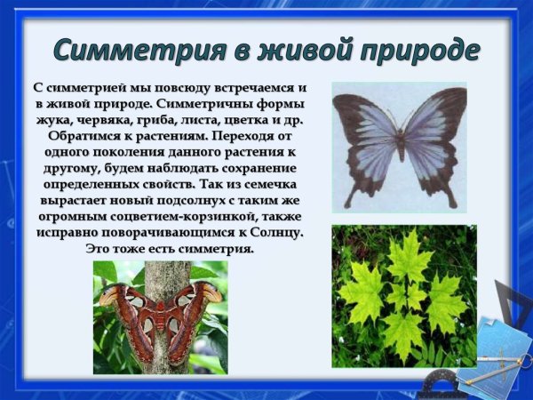 Зеркальная симметрия в живой природе