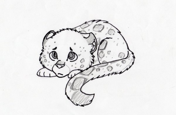 Рисунки снежного Барса для срисовки