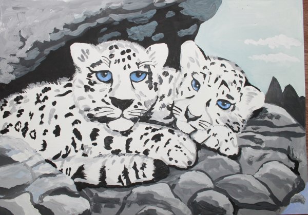 Снежный Барс Ирбис рисунок