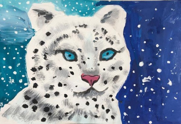 Снежный Барс рисунок