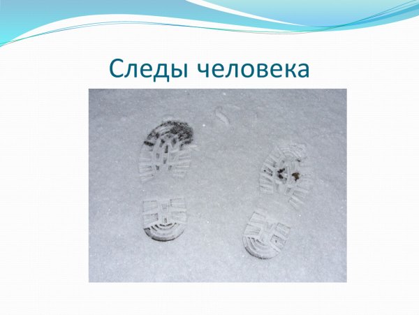 Следы на снегу презентация