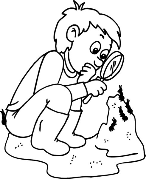 Раскраска исследователь