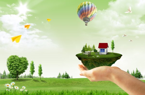 Экология наш дом