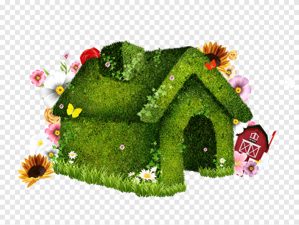 Волшебный зеленый домик