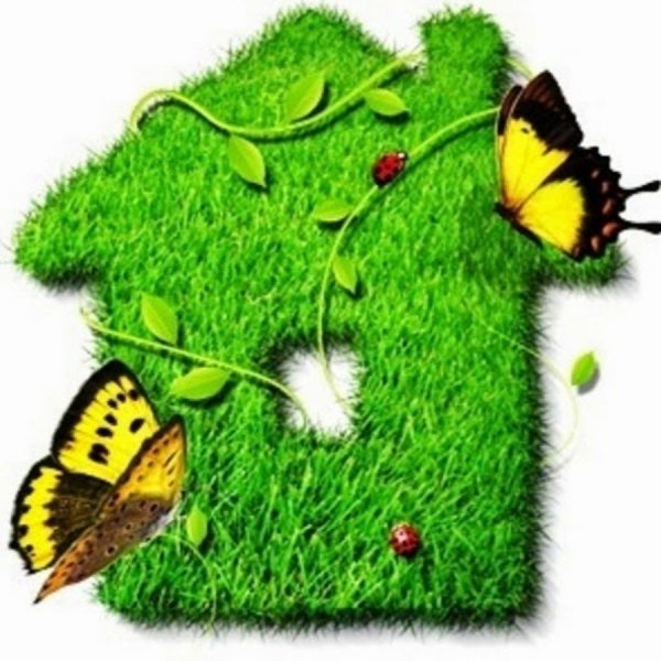 Волшебный зеленый домик