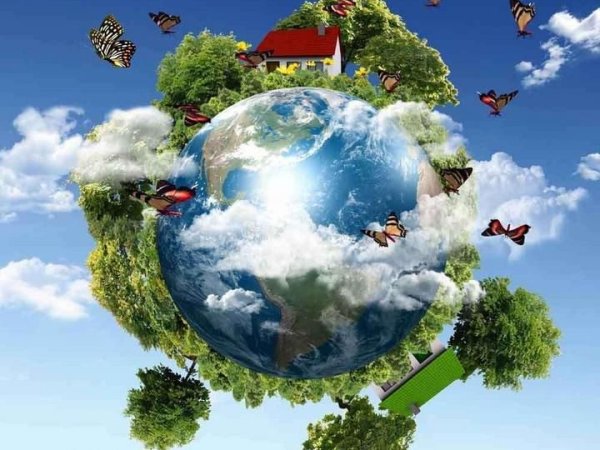 Чистая земля