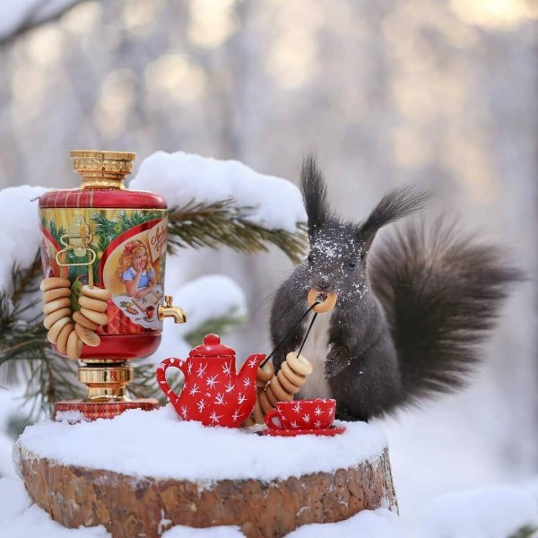 Доброе зимнее Снежное утро