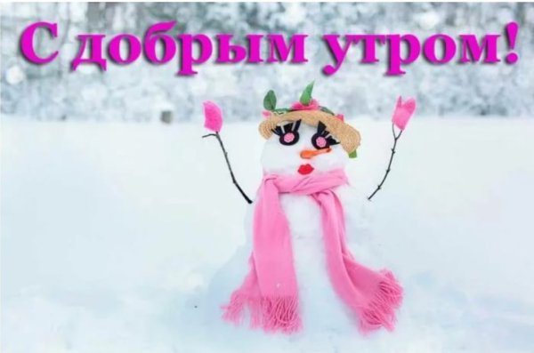 Доброе утро смешные зимние