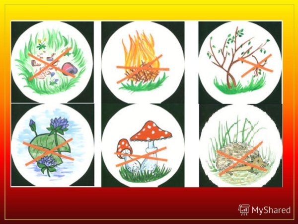 Знаки природы