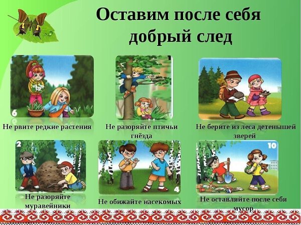 Правила поведения в лесу для детей