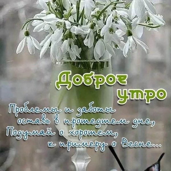 Доброе Весеннее утро