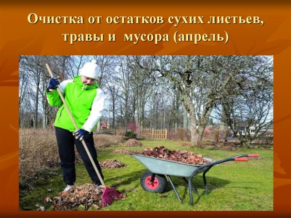 Уборка территории весной презентация для детей