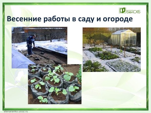 Работа весной в саду, огороде задания