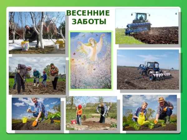 Презентация весенние заботы