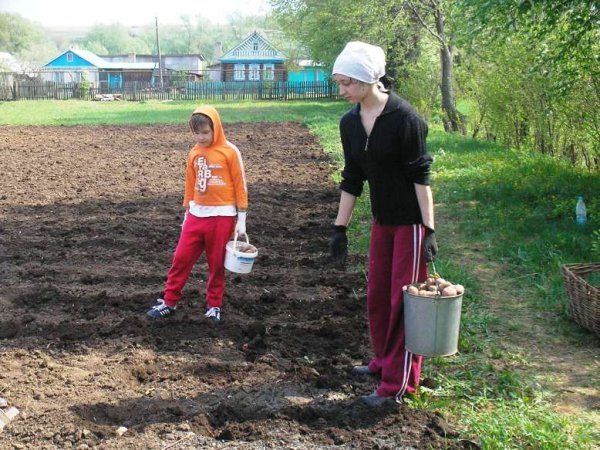 Весенний труд на огороде