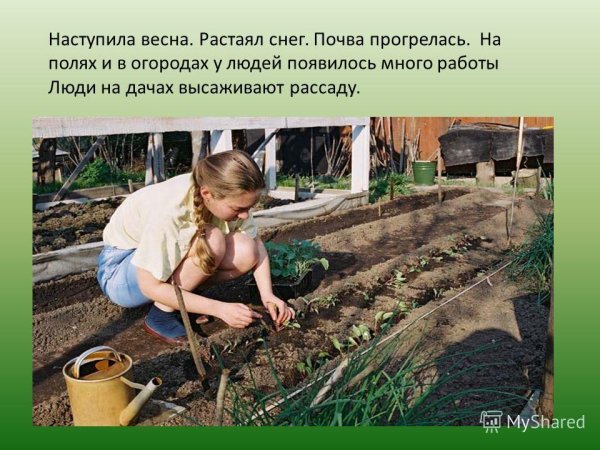 Труд людей весной