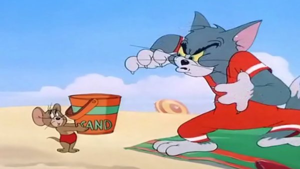 Кот том на пляже