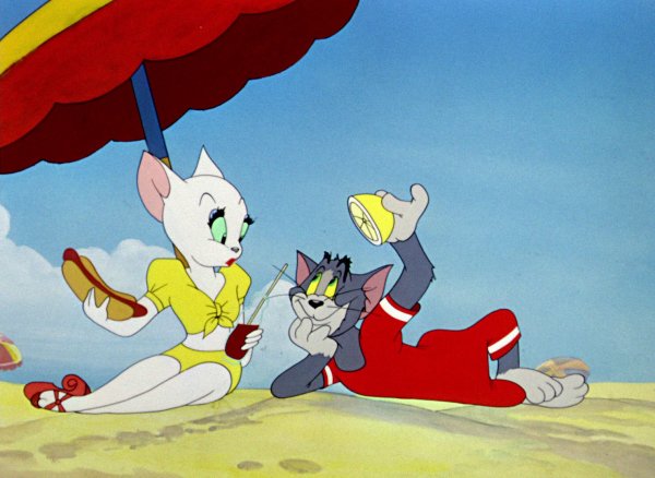 Том и Джерри Salt Water tabby