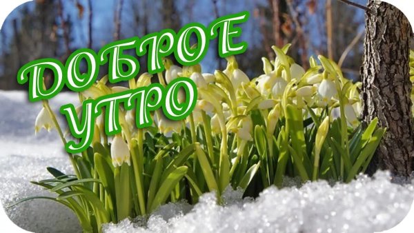 С добрым весенним утром с детьми