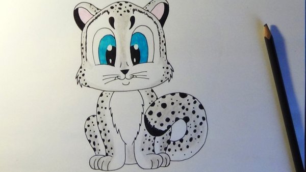 Снежный Барс рисунок легкий