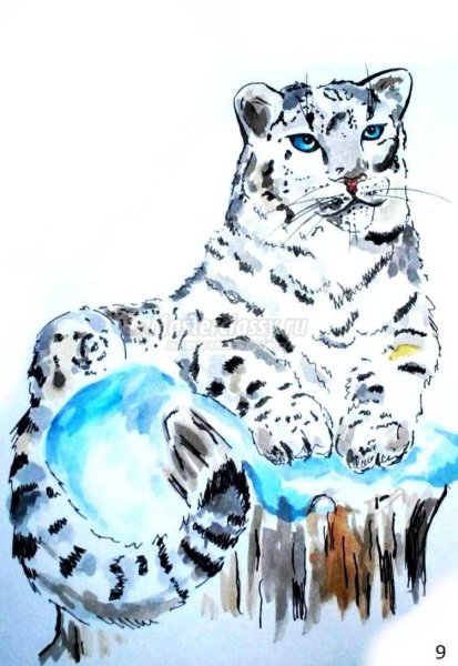 Снежный Барс рисунок