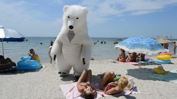 Медвежонок на пляже