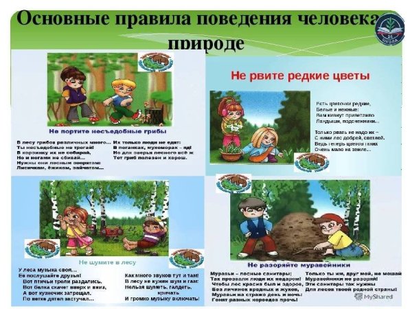 Правила поведения на природе
