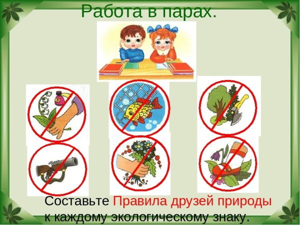 Правил поведения в природе