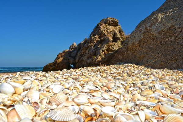 Керчь ракушечный пляж Генеральские