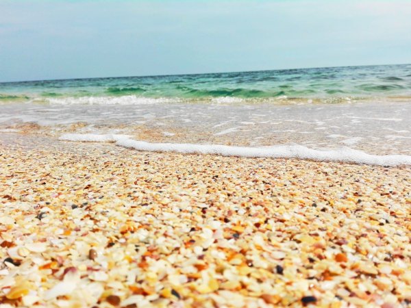 Береговое Феодосия море