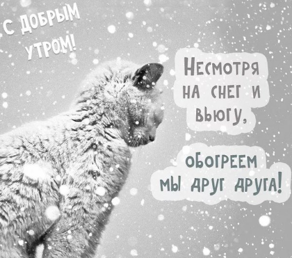 Доброе утро зимнее прикольное