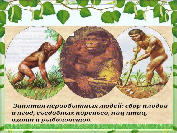 Занятия первобытных людей