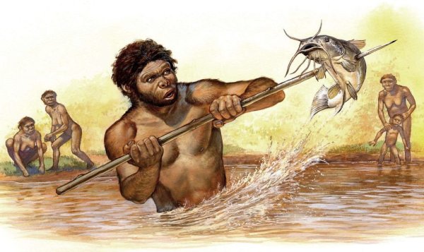 Хомо сапиенс охотники собиратели