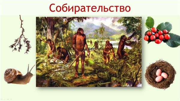 Древние люди собирательство