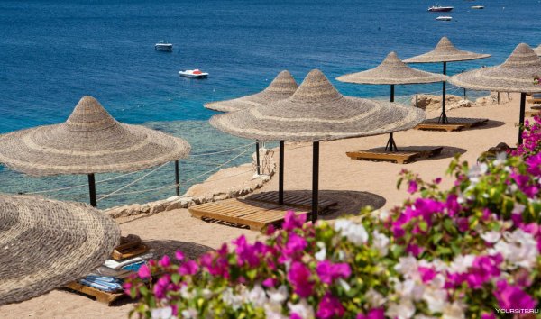 Египет Шарм-Эль-Шейх