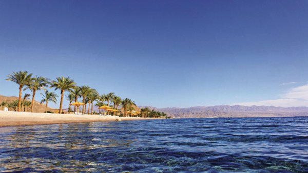 Красное море Египет пляж