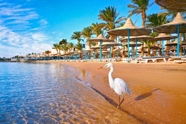 Шарм-Эль-Шейх море