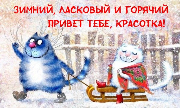 Зимний привет