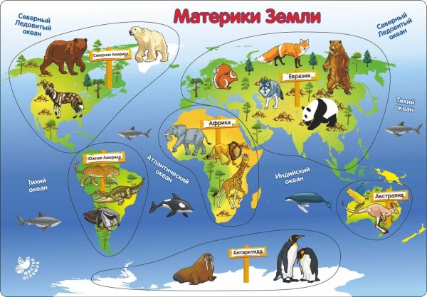Животные разных континентов