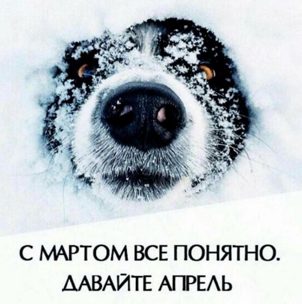 Весна и снег юмор